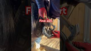 Nail and FINISH satisfyingvideo hoofcare farrier horse equestrian [upl. by Shaughnessy]