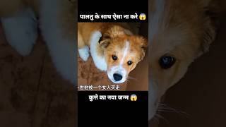 प्यारा कुत्ता और उसके पिछले जन्म की यादें 😱  short anime dog movie cartoon [upl. by Hildebrandt]