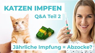 Katzen impfen  Wann und wie oft Jährlich  Abzocke [upl. by Rahal]