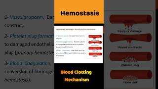 Blood Clotting  Blood Coagulation  hemostasis bloodclotting shortsfeed [upl. by Akaenahs]