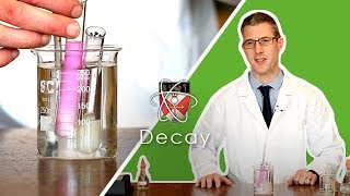 Decay  GCSE Biology Required Practical [upl. by Maje621]