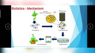 Physical amp Chemical Methods of Gene Transfer [upl. by Stephi897]