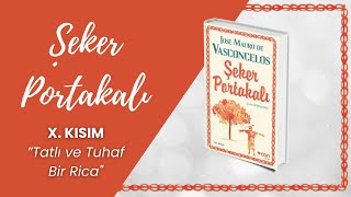 Şeker Portakalı Sesli Kitap  10 BÖLÜM  Jose Mauro de Vasconcelos [upl. by Arissa]