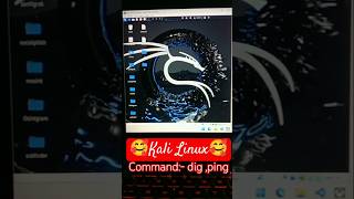 Kali Linux Commands Dig And Ping [upl. by Anisamot482]