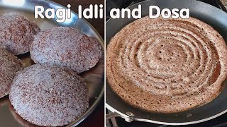 Ragi Idli and Dosa Recipe  Healthy Weight loss Recipe  Finger Millet Recipe  1 Batter 2 recipe [upl. by Olodort838]