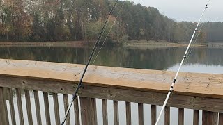 Morning Pier Fishing 🎣 [upl. by Efeek]