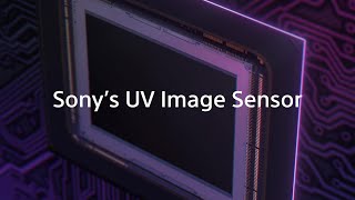 UltravioletUV Image Sensor [upl. by Miche]