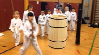 Fastelavn 2014 i Taastrup Taekwondo [upl. by Aihsemek979]