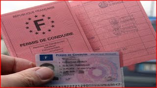 🔴Permis de conduire  après cette date vous ne pourrez plus utiliser votre quotpetit papier rosequot 📰 [upl. by Fitzgerald173]