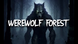 WEREWOLF AMBIENCE  3 HOURS OF SPINE CHILLING AMBIENCE  FOR DampD STORYTELLING WORK STUDY [upl. by Limann]