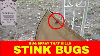 Bug Spray That Kills Stink Bugs [upl. by Antonius]