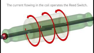 What is a Reed Relay from Pickering Electronics [upl. by Waverley948]