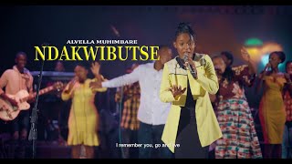 Alvella MUHIMBARENDAKWIBUTSE OFFICIAL VIDEO 2024 [upl. by Handal]