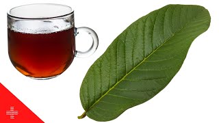 Why You Should Be Drinking Guava Leaf Tea [upl. by Eiduj745]