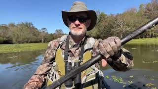 Paddling Toledo Bend at Patroon Creek birds and deerNov 12 2024 [upl. by Spracklen]