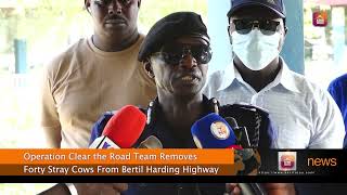 Operation Clear the Road Team Removes Forty Stray Cows From Bertil Harding Highway [upl. by Silvia]