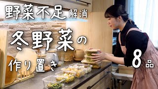 《8品》冬野菜を沢山使った、野菜中心の作り置き。１週間分の作り置き献立常備菜 [upl. by Korns]