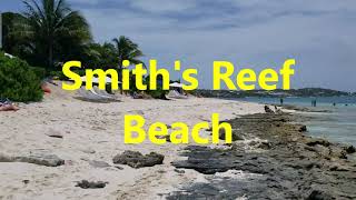 Smiths Reef in Providenciales Turks and Caicos Islands [upl. by Nomihs593]