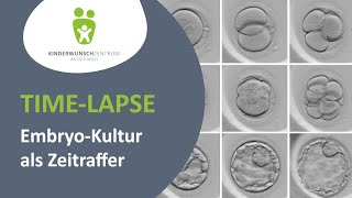 TimeLapse EmbryoKultur als Zeitraffer im IVFLabor des Kinderwunschzentrum an der Wien [upl. by Launamme]