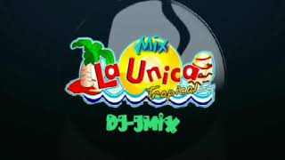 Mix inicio  PARTIDO EN DOS LA ÚNICA TROPICAL🌴 DJJMIX🐰 Dale like 👍 y comparte🌴 [upl. by Lough]