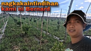 OFF MUNA ANG IBA SA FARM [upl. by Bannerman]