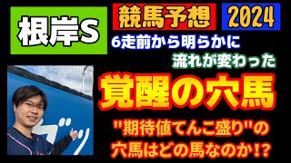 【競馬予想 根岸S2024】根岸ステークス2024！6走前から明らかに流れが変わった、覚醒の穴馬！期待値てんこ盛りの穴馬はどの馬なのか！？エンペラーワケア、サンライズフレイム、タガノビューティーは？ [upl. by Oilicec171]