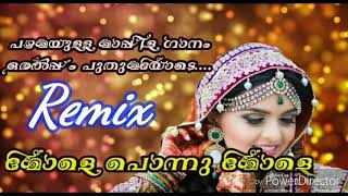 Mappila mylanchi song Remix new Mole Ponnu [upl. by Pearline685]