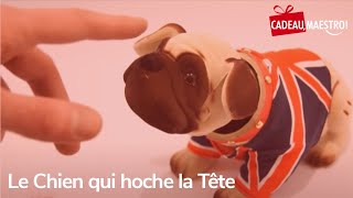 Le chien qui hoche la tête [upl. by Latsryk]