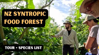 25 year Syntropic Food Forest Tour  Species List [upl. by Aciraa]