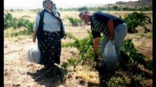 nevşehir hacı bektaş büyükkışla köyü [upl. by Lirrad]