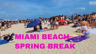 Walking Tour Miami Beach during Spring Break [upl. by Enileda]