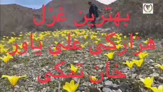 Ghazal Hazaragi بهترین غزل هزارگی علی یاور خان تمکی [upl. by Abdulla449]