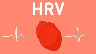 Everything You Should Know About Heart Rate Variability HRV [upl. by Noakes407]