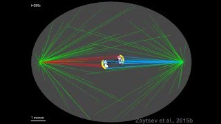 Molecular Biophysics of Mitosis Mathematical model of sister kinetochores biorientation [upl. by Lekim]