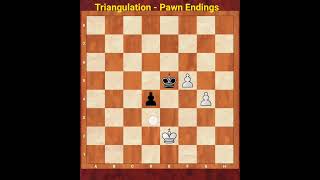 TRIANGULATION IN PAWN ENDINGS [upl. by Leake282]