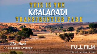 This is the Kgalagadi Transfrontier Park FILM  The Auob River  Kgalagadi Photography [upl. by Ogren]