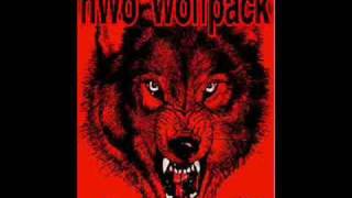 nwo wolfpac theme [upl. by Casaleggio]