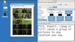 Ubuntu Basics PHOTOPRINT TUTORIAL [upl. by Rednav]