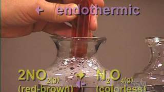 NO2 N2O4 Gas Equilibrium LeChateliers Principle Lab Part 4 [upl. by Attenborough957]