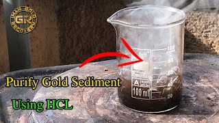 Purify Gold Sediment Using Hydrochloric Acid HCL Easy Method [upl. by Laurance947]