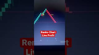 Renko Chart Trading Live Profit [upl. by Malia]