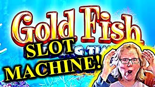 Some Goldfish Feeding Time at The Atlantis Part 6 slots slotmachine casinogames [upl. by Kimmie]