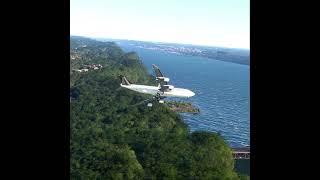 best landing boeing plane sorts [upl. by Eneleh]