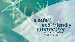 EcoFriendly Aquamation  Flameless Pet Cremation [upl. by Esilrahc375]