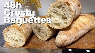 48h Crusty Baguettes  volles Aroma durch sehr lange Reifung food recipe cooking breakfast [upl. by Nivlad433]