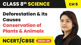 Deforestation and Its Causes  Conservation of Plants and Animals  Class 8 Science Ch 5  CBSE 2024 [upl. by Kirad]