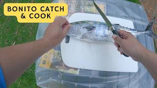 Bonito Catch amp Cook  Fishing Nantucket 2024 [upl. by Gleda747]