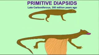 PREHISTORIC DIAPSID INTERVIEW2 [upl. by Frolick777]