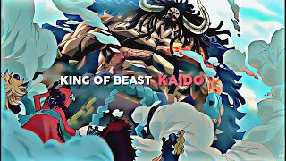 Kaido first appearance edit [upl. by Arahsal744]