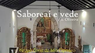 Saboreai e vede Az Oliveira [upl. by Etennaej670]